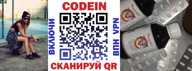 Кодеиновый сироп Lean напиток Lean (лин)  гидра как войти  Каменка  продажа наркотиков 