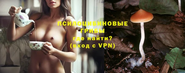 меф Рославль