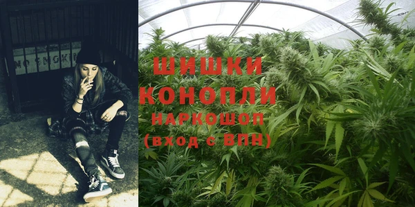 ПСИЛОЦИБИНОВЫЕ ГРИБЫ Абаза