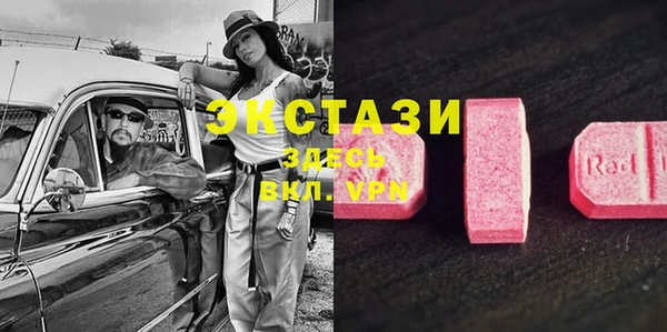 ПСИЛОЦИБИНОВЫЕ ГРИБЫ Абаза