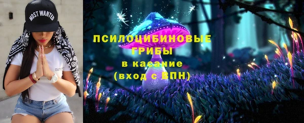 ПСИЛОЦИБИНОВЫЕ ГРИБЫ Абаза