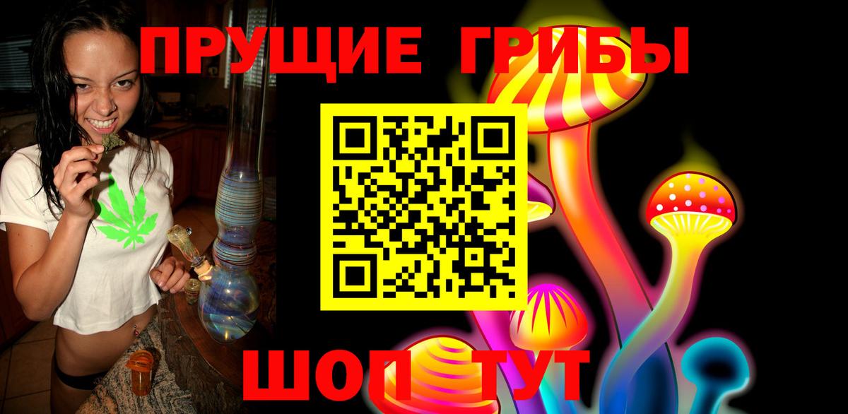 купить   Вход с VPN  Каменка  Галлюциногенные грибы GOLDEN TEACHER 