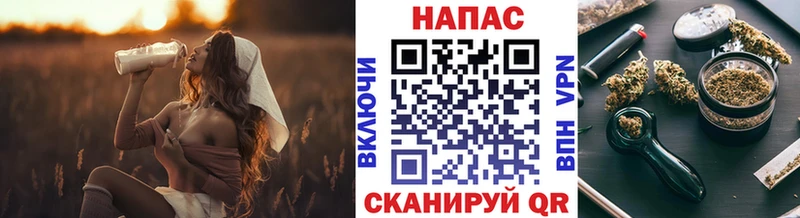 продажа наркотиков  Каменка  ОМГ ОМГ ТОР  Конопля гибрид 